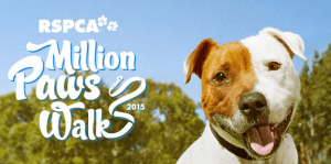 Million Paws Walk supporter